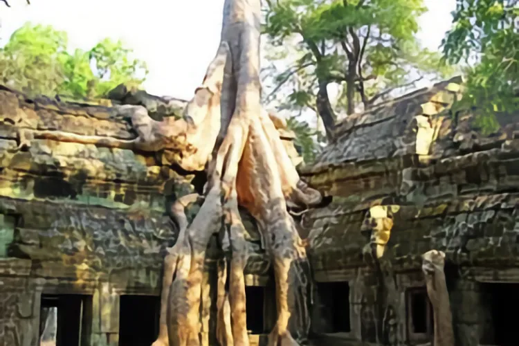 Fantastic Indochina Tour - 17 Nights from Hanoi
