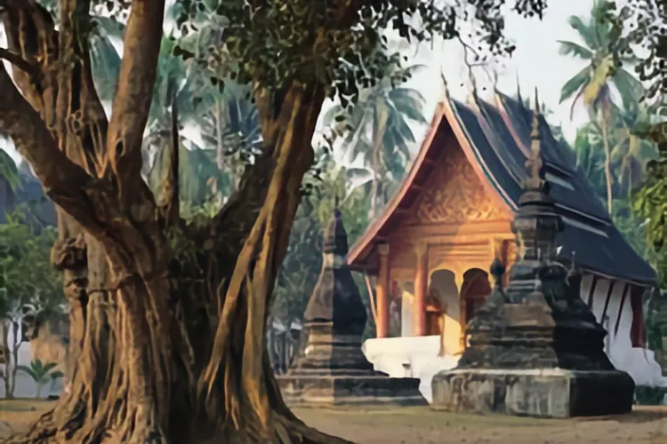 Fantastic Indochina Tour - 17 Nights from Hanoi