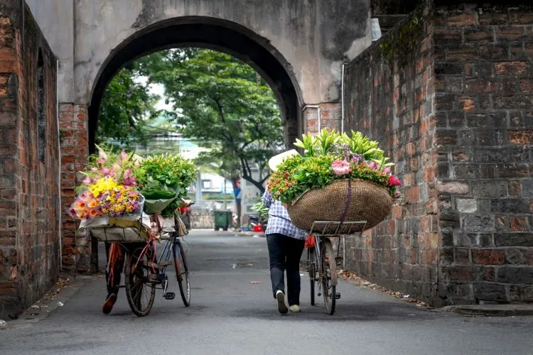 10 Nights North To South Vietnam New Tour