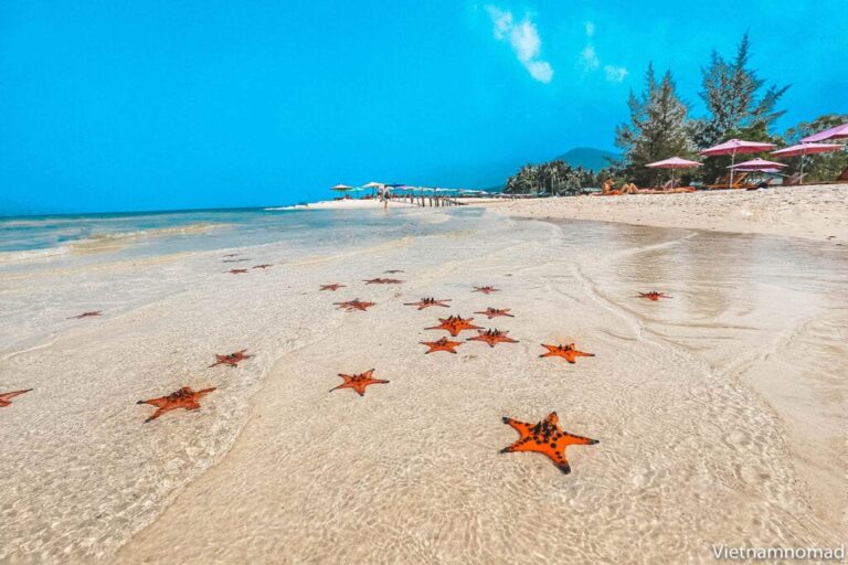Starfish Beach