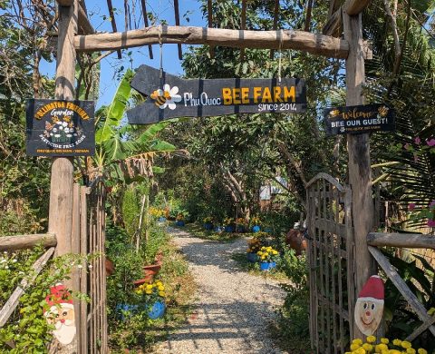 The Bee Farm